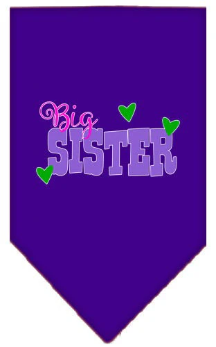 Pet and Dog Bandana Screen Printed, "Big Sister" - Image 4