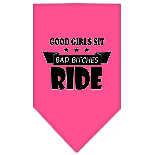 Pet and Dog Bandana Screen Printed, "Bitches Ride" - Image 2