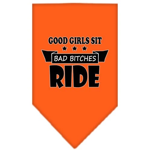 Pet and Dog Bandana Screen Printed, "Bitches Ride" - Image 3