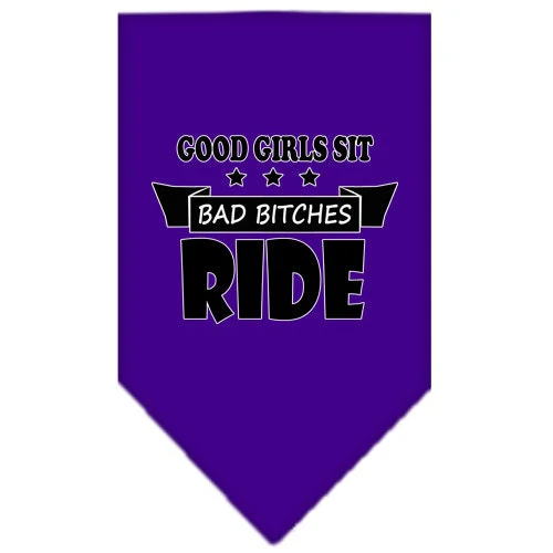 Pet and Dog Bandana Screen Printed, "Bitches Ride" - Image 4