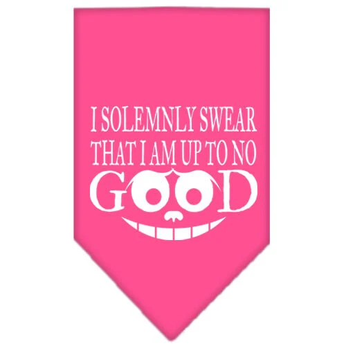 Pet and Dog Bandana Screen Printed, "I Solemnly Swear That I Am Up To No Good" - Image 3