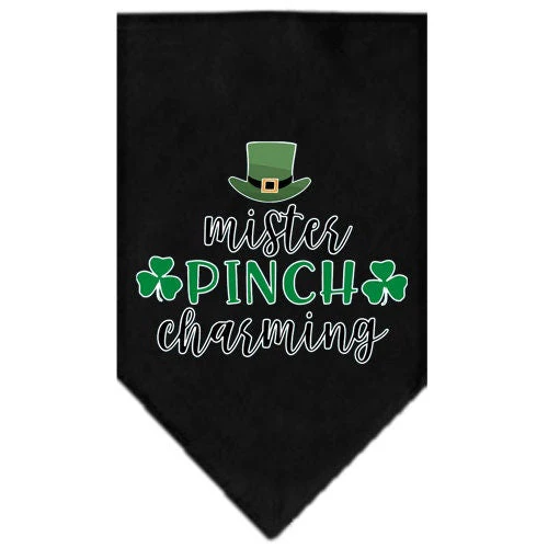 Pet and Dog Bandana Screen Printed, "Mr. Pinch Charming" - Image 2