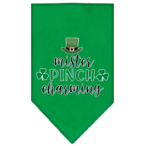 Pet and Dog Bandana Screen Printed, "Mr. Pinch Charming" - Image 3