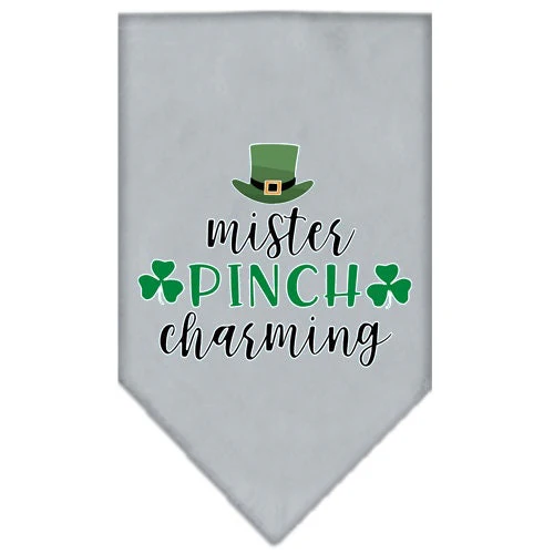 Pet and Dog Bandana Screen Printed, "Mr. Pinch Charming" - Image 4
