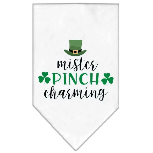 Pet and Dog Bandana Screen Printed, "Mr. Pinch Charming" - Image 5