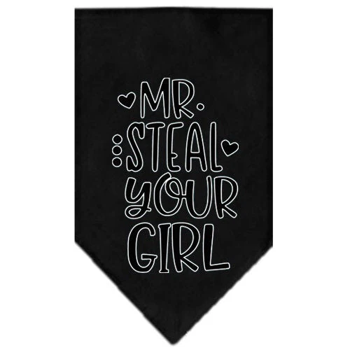 Pet and Dog Bandana Screen Printed, "Mr. Steal Your Girl" - Image 2