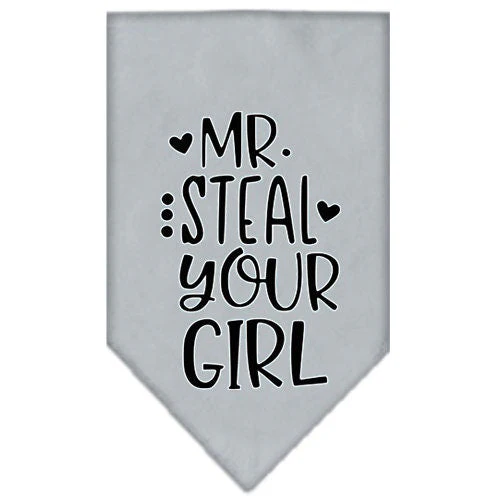 Pet and Dog Bandana Screen Printed, "Mr. Steal Your Girl" - Image 3