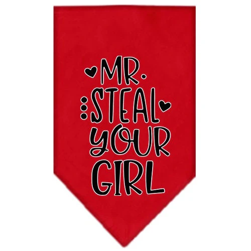 Pet and Dog Bandana Screen Printed, "Mr. Steal Your Girl" - Image 5