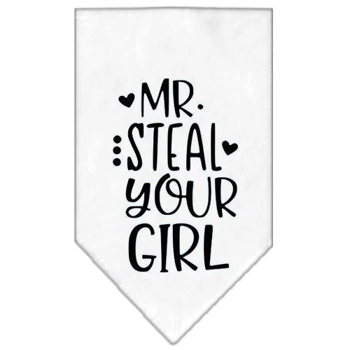 Pet and Dog Bandana Screen Printed, "Mr. Steal Your Girl" - Image 6