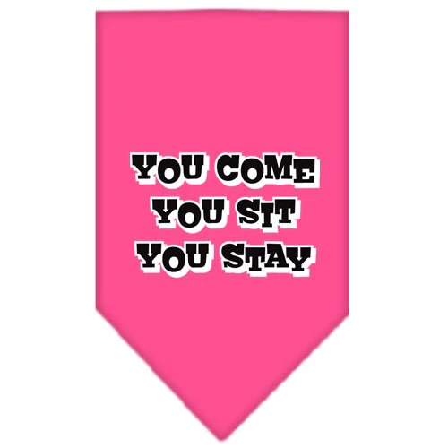 Pet and Dog Bandana Screen Printed, "You Come, You Sit, You Stay" - Image 4