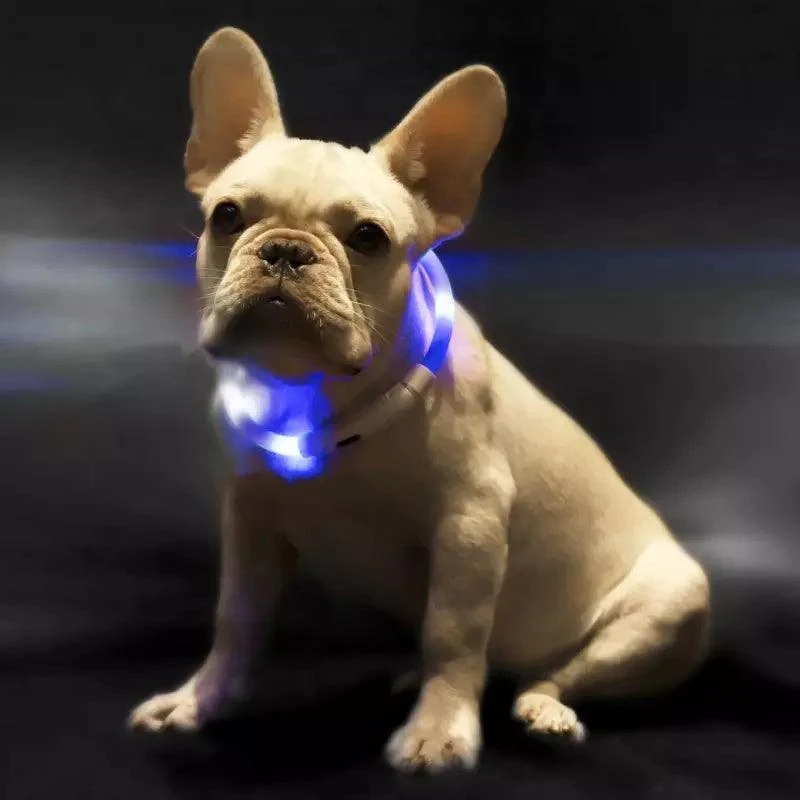 Pet Anti-Lost Light Collar - Image 2