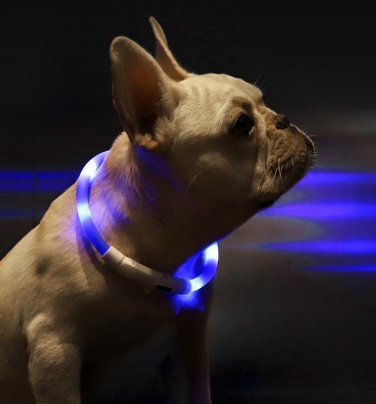Pet Anti-Lost Light Collar - Image 3