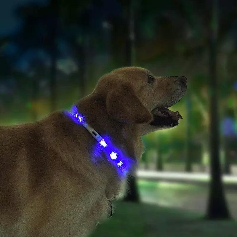 Pet Anti-Lost Light Collar - Image 4