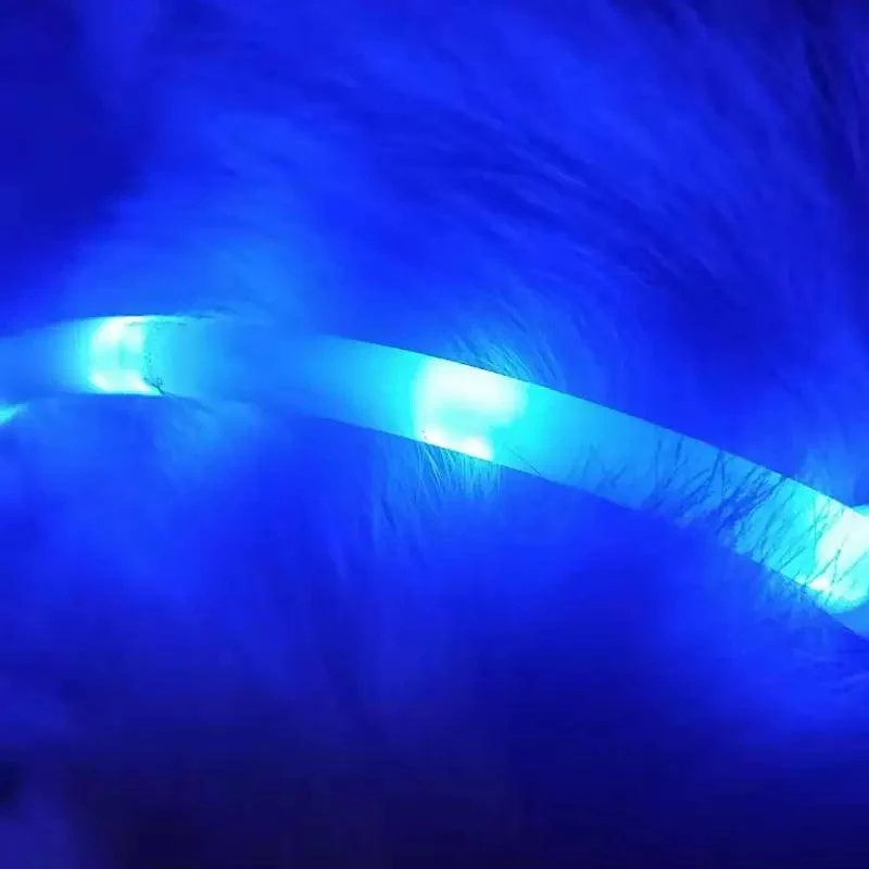 Pet Anti-Lost Light Collar - Image 5