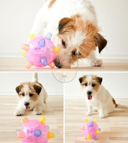 Pet Dancing Ball Glowing Toy - Image 2