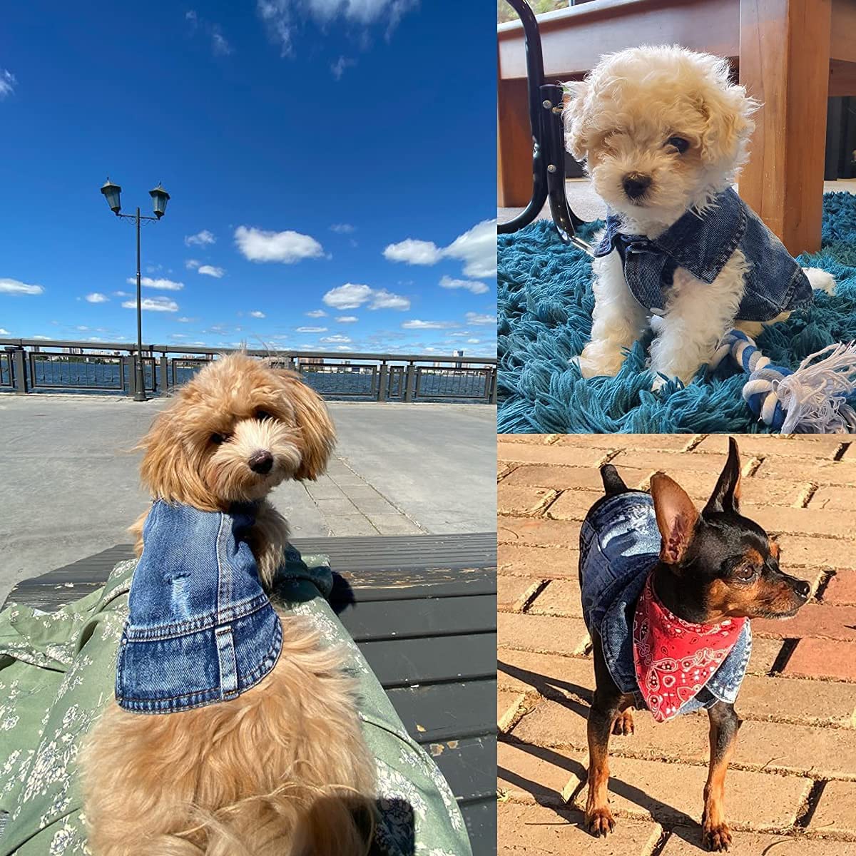 Pet Dog Cat Blue Denim Jeans Jacket Coat Vest - Image 11