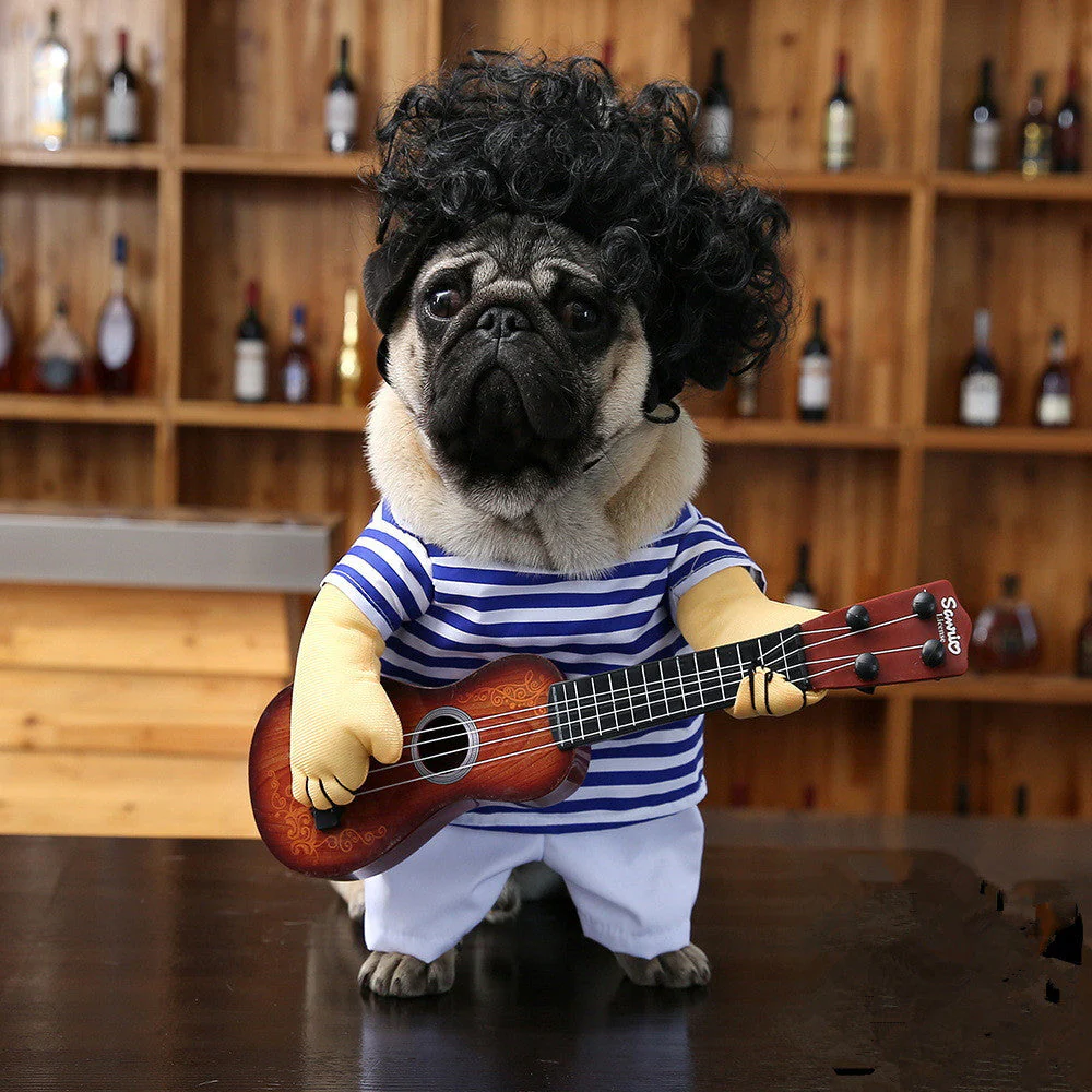 Pet dog guitarist dress - Image 2