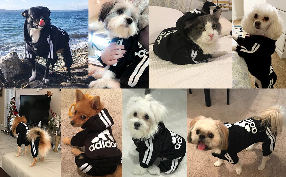 Pet Dog Jumpsuit for Small Medium Dogs - Image 17