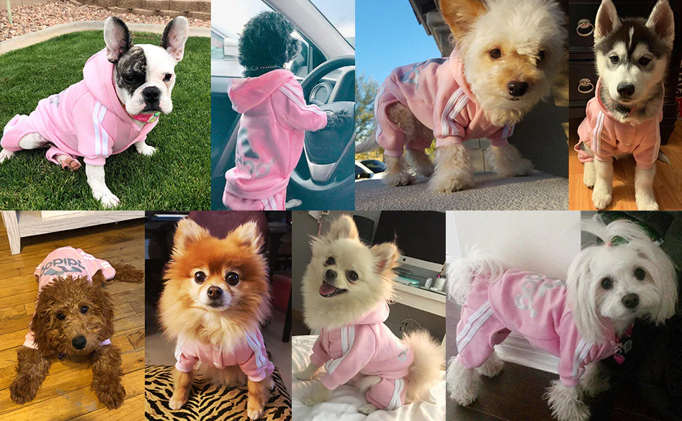 Pet Dog Jumpsuit for Small Medium Dogs - Image 19