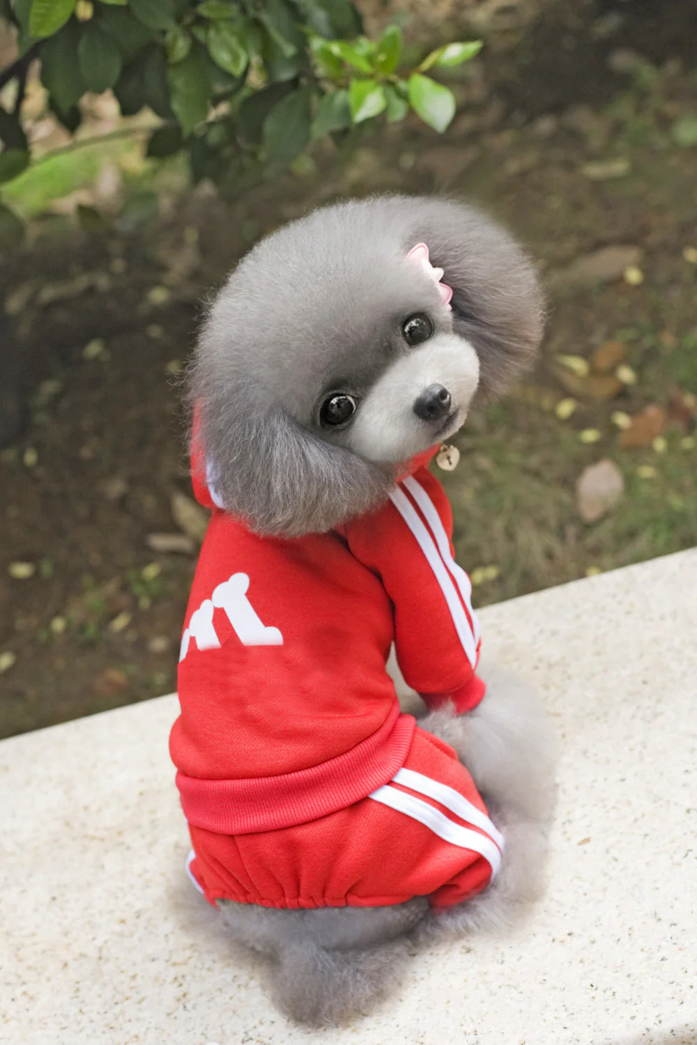 Pet Dog Jumpsuit for Small Medium Dogs - Image 5
