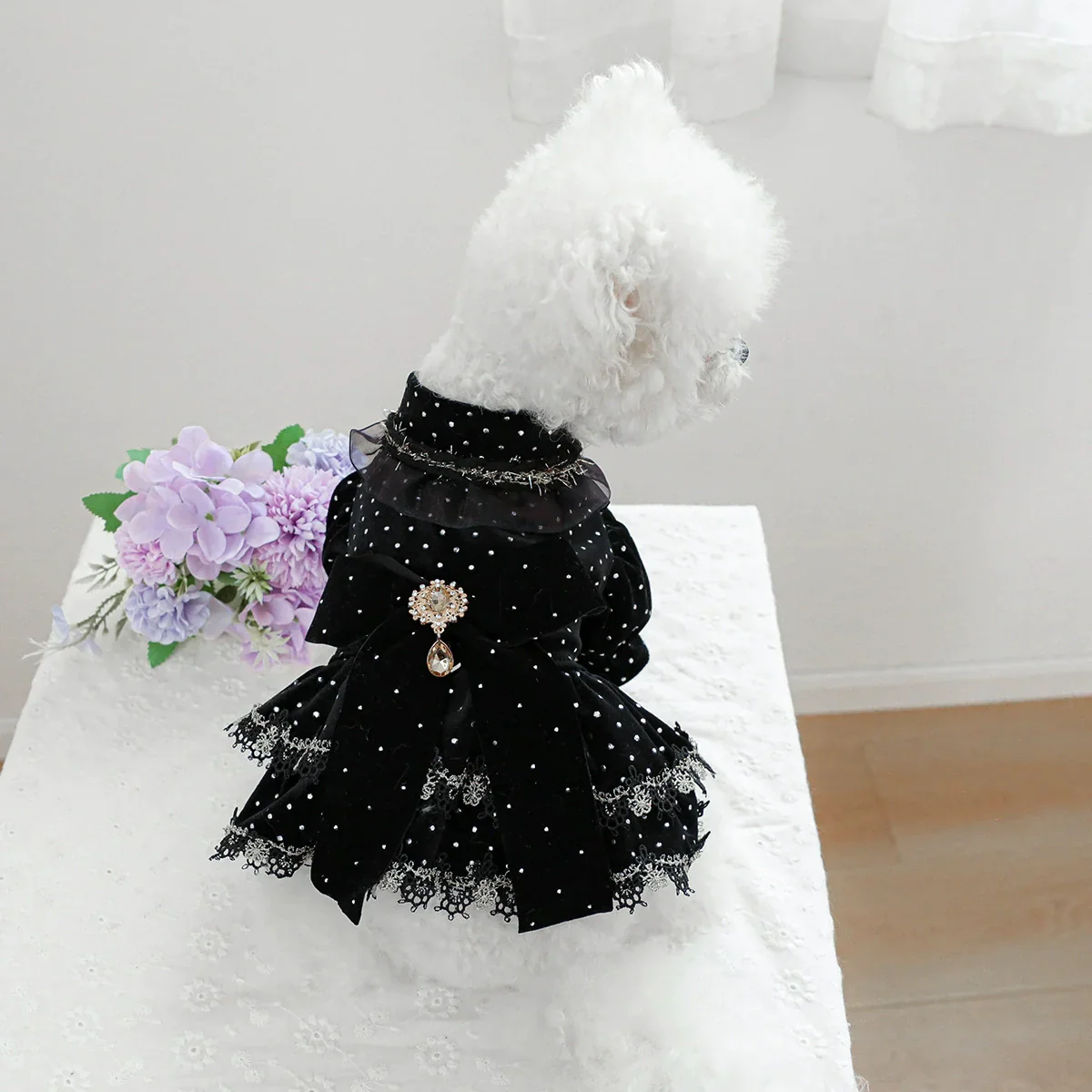 Pet dress black velvet golden dot - Image 2