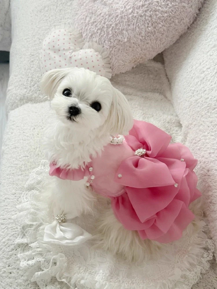 Pet Dress Pearl Diamond Crown 2 Colors - Image 2