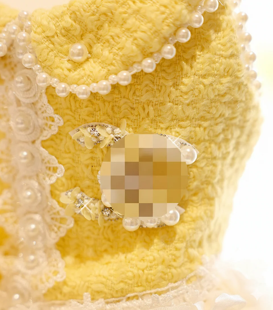 Pet Dress Yellow Tweed Pearls Collar with Lace Tutu - Boutique Party Outfit - Image 5