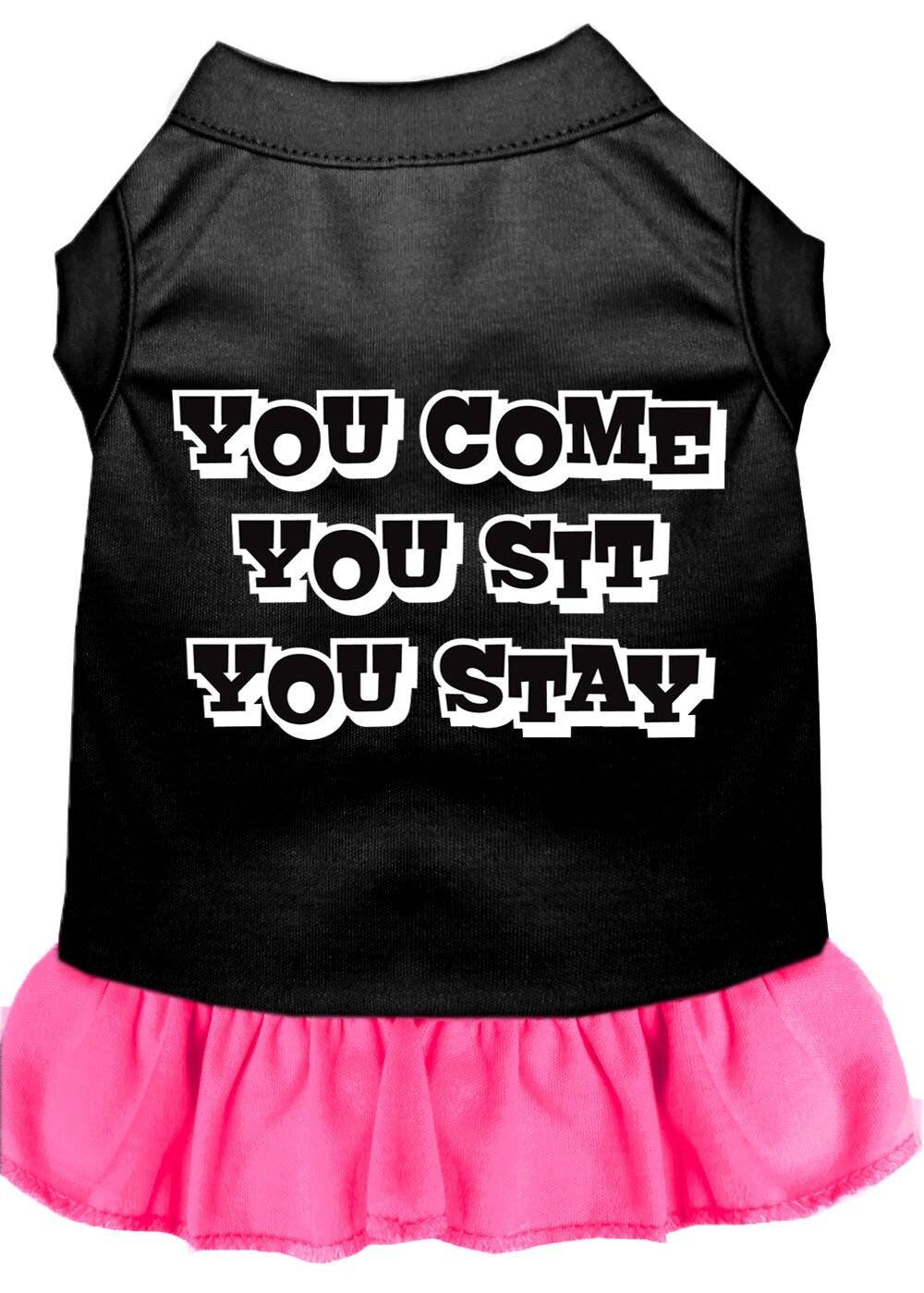Pet Dress "You Come, You Sit, You Stay" - Image 3