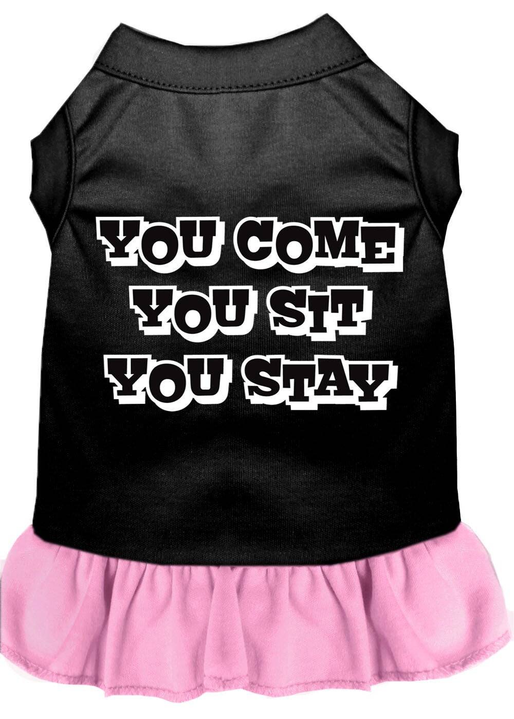 Pet Dress "You Come, You Sit, You Stay" - Image 4
