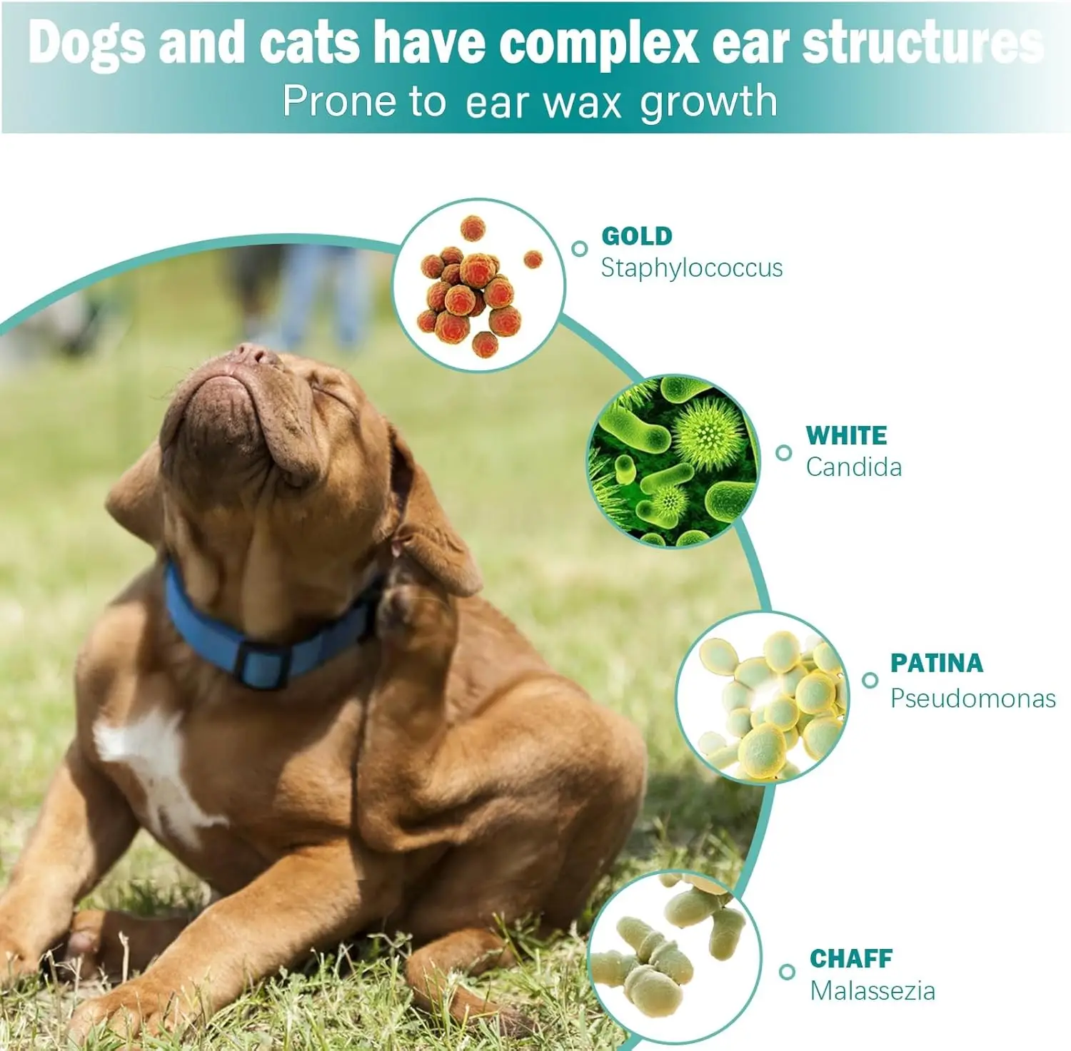 Pet Ear Cleaning Wipes for Healthy Ears - Image 3
