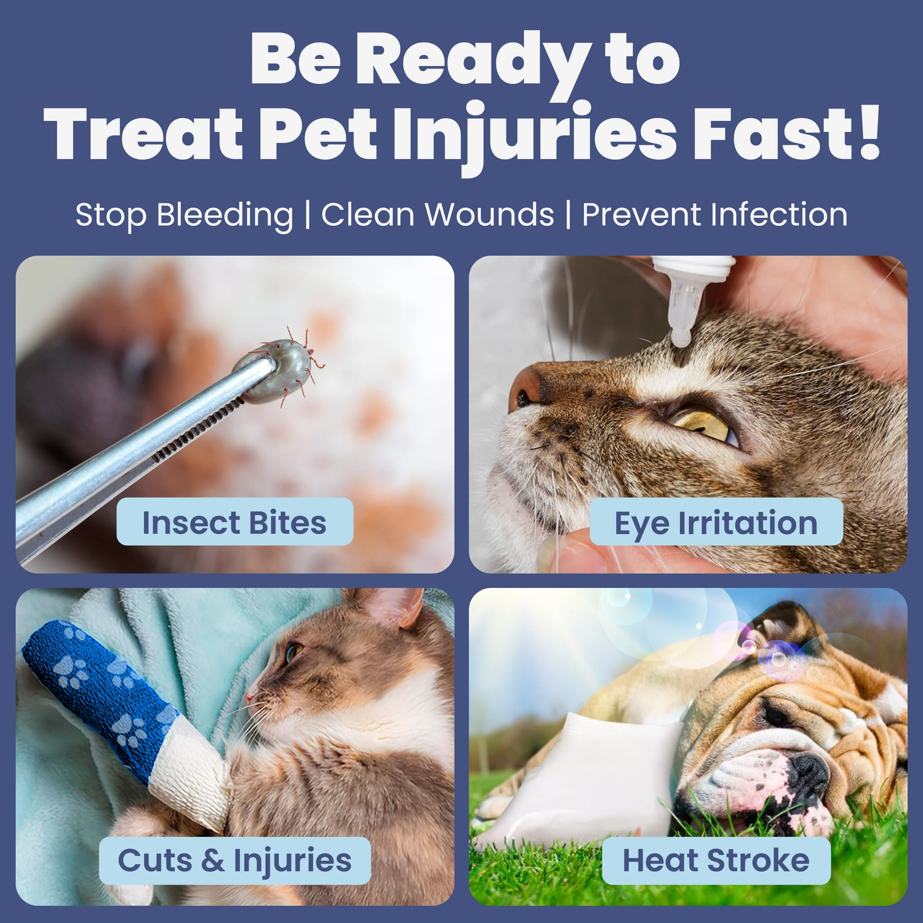 Pet First Aid Kit for Dogs & Cats with Vet-Approved Essentials - Image 5