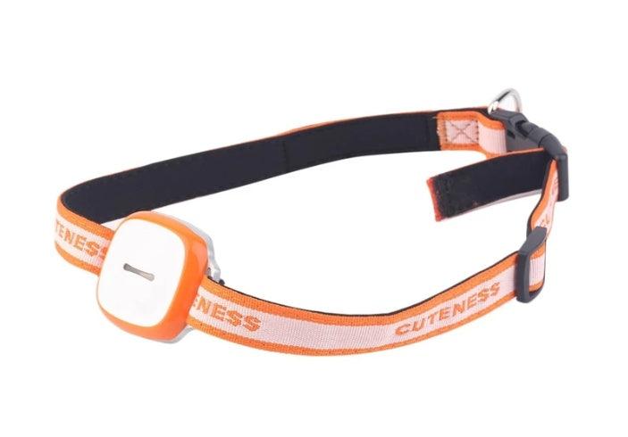 Pet GPS Tracking Collar - Image 4