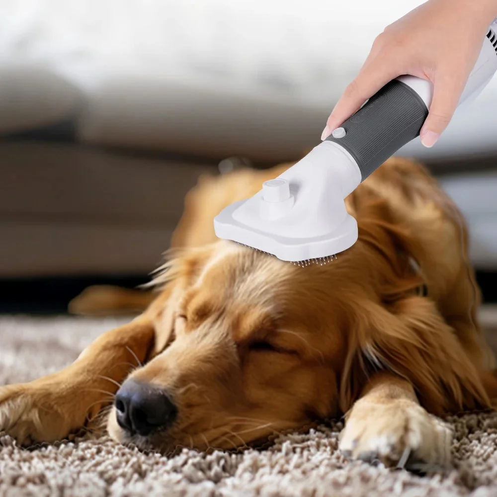 Pet Grooming Dryer for Small Dog and Cat - Image 4