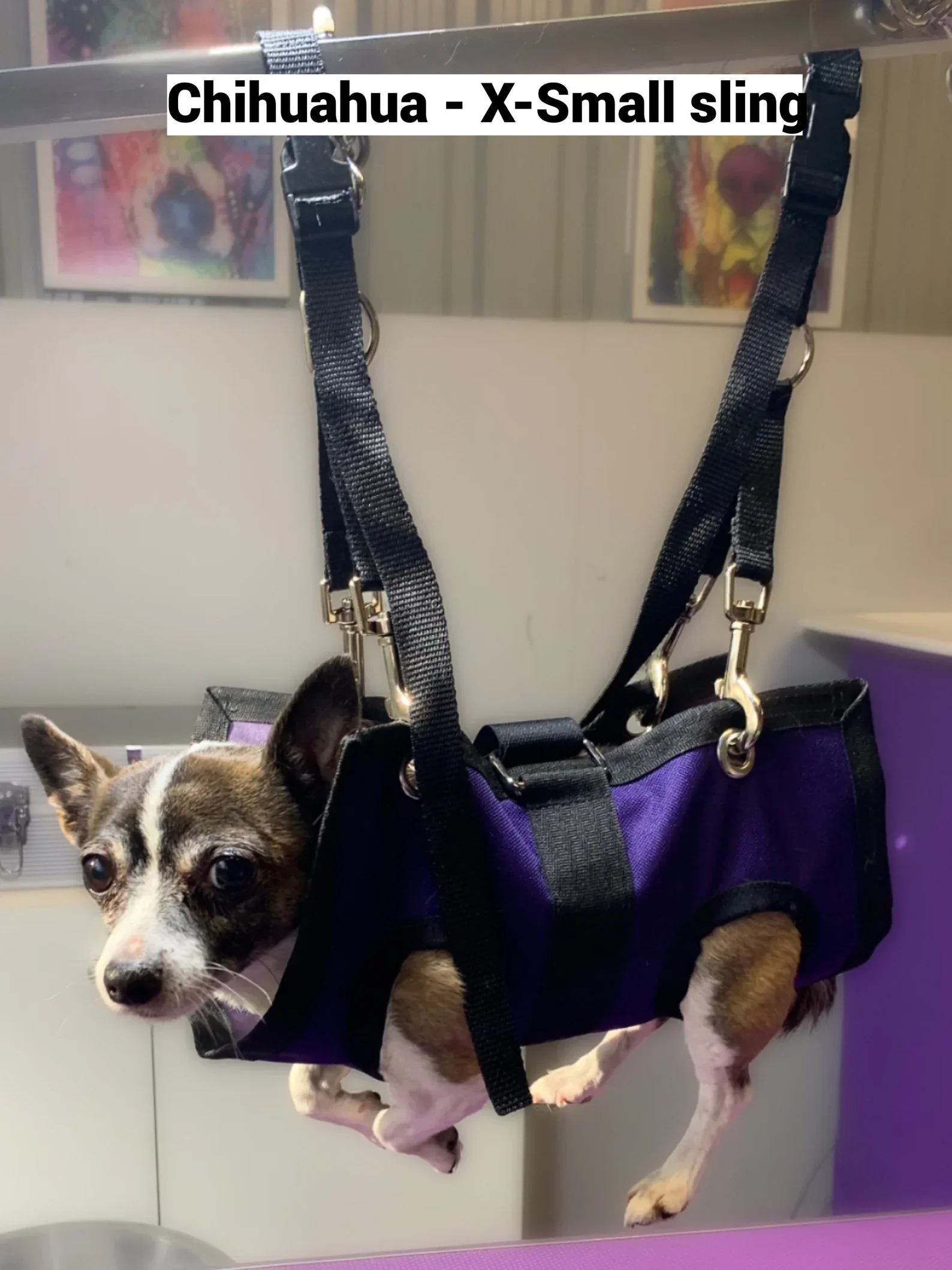 PET GROOMING SLING - Image 2