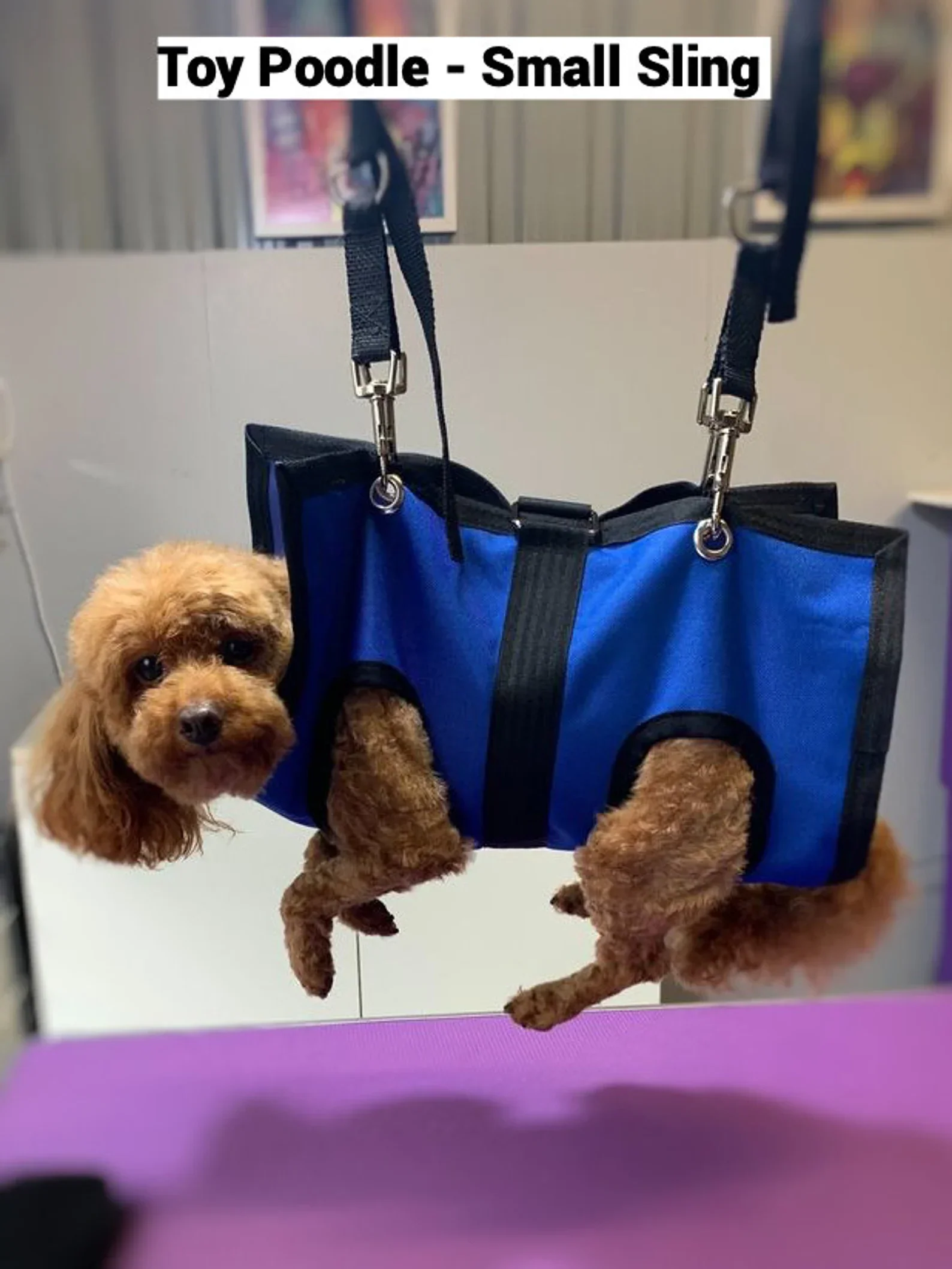 PET GROOMING SLING - Image 4