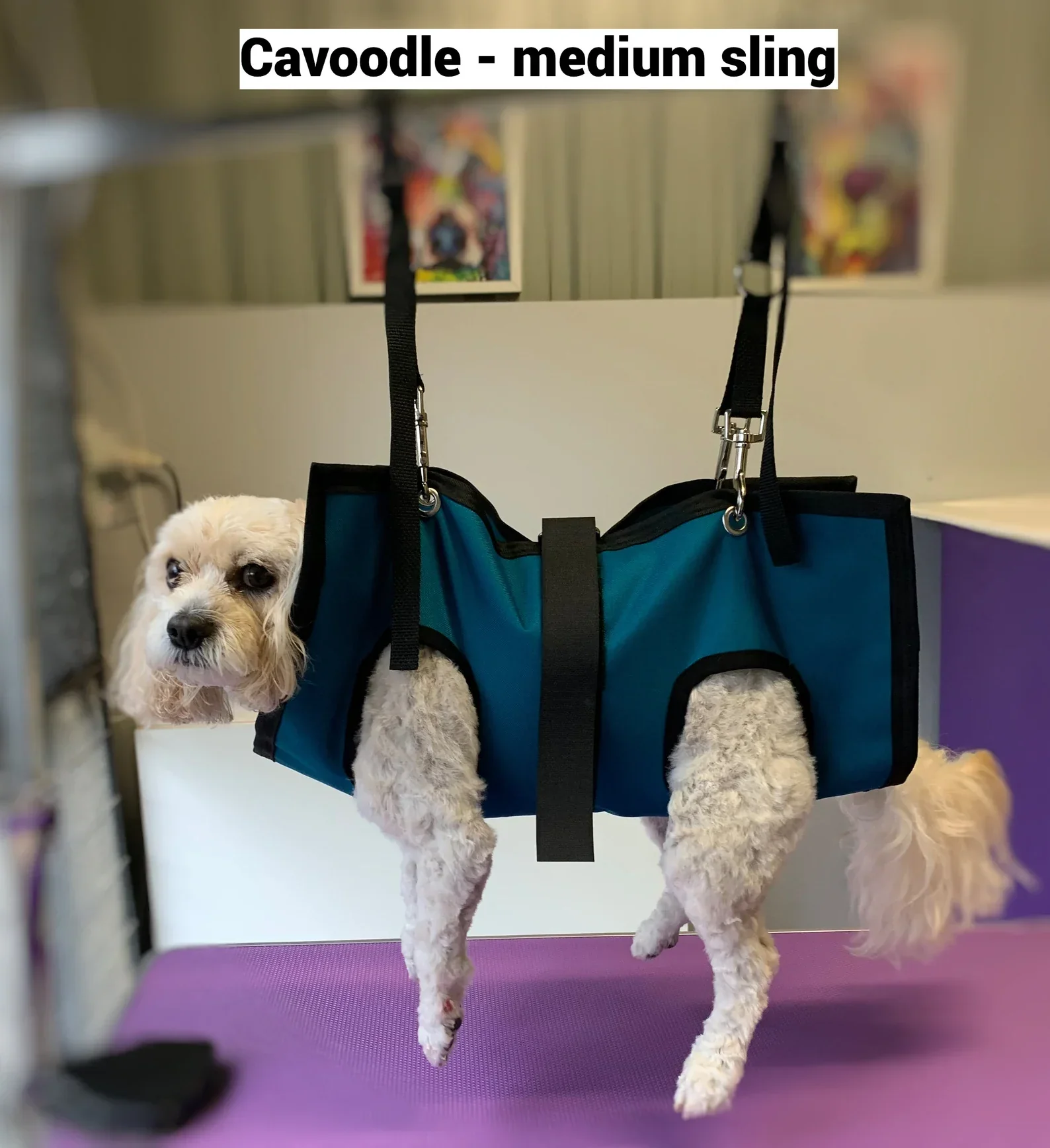 PET GROOMING SLING - Image 5