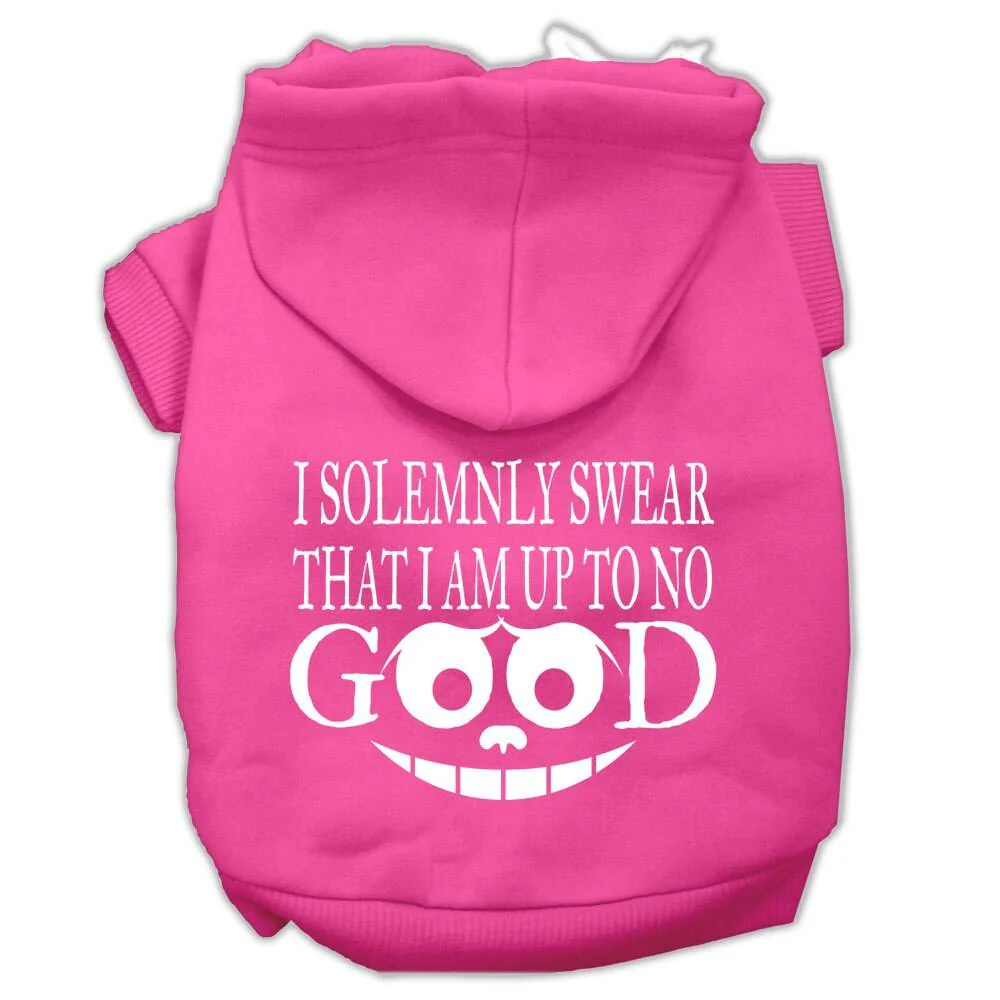 Pet Hoodie "I Solemnly Swear That I Am Up To No Good" - Image 5