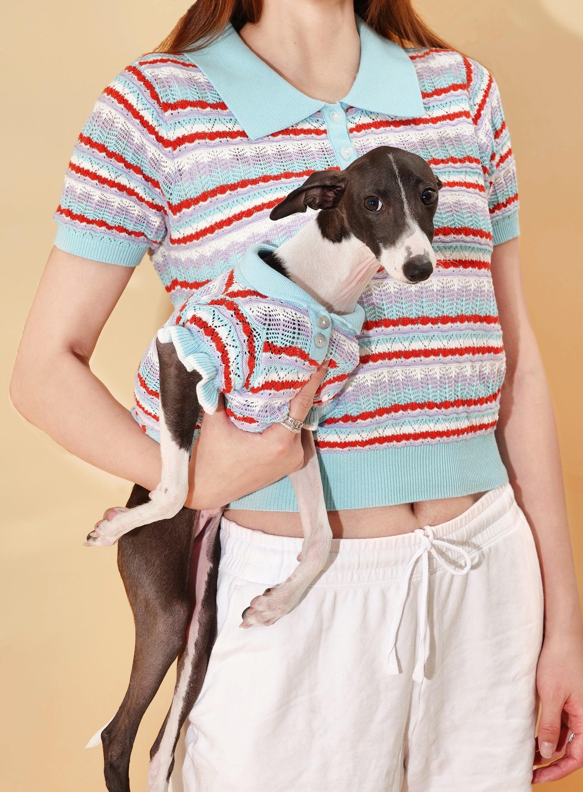 Pet & Me Spring Summer Ocean Blue Ruffle Crochet Short Sleeve Polo Shirt - Image 10