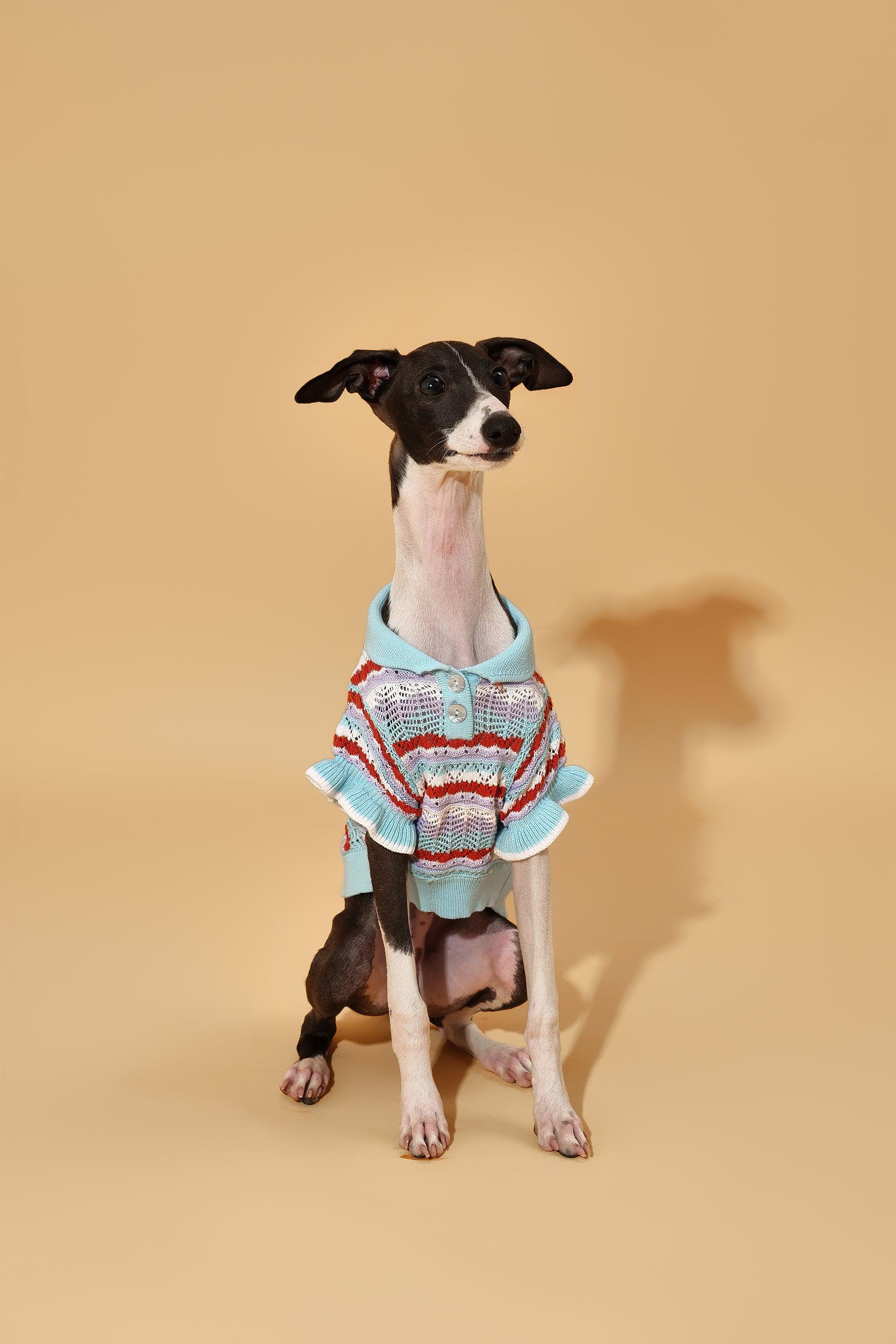 Pet & Me Spring Summer Ocean Blue Ruffle Crochet Short Sleeve Polo Shirt - Image 2