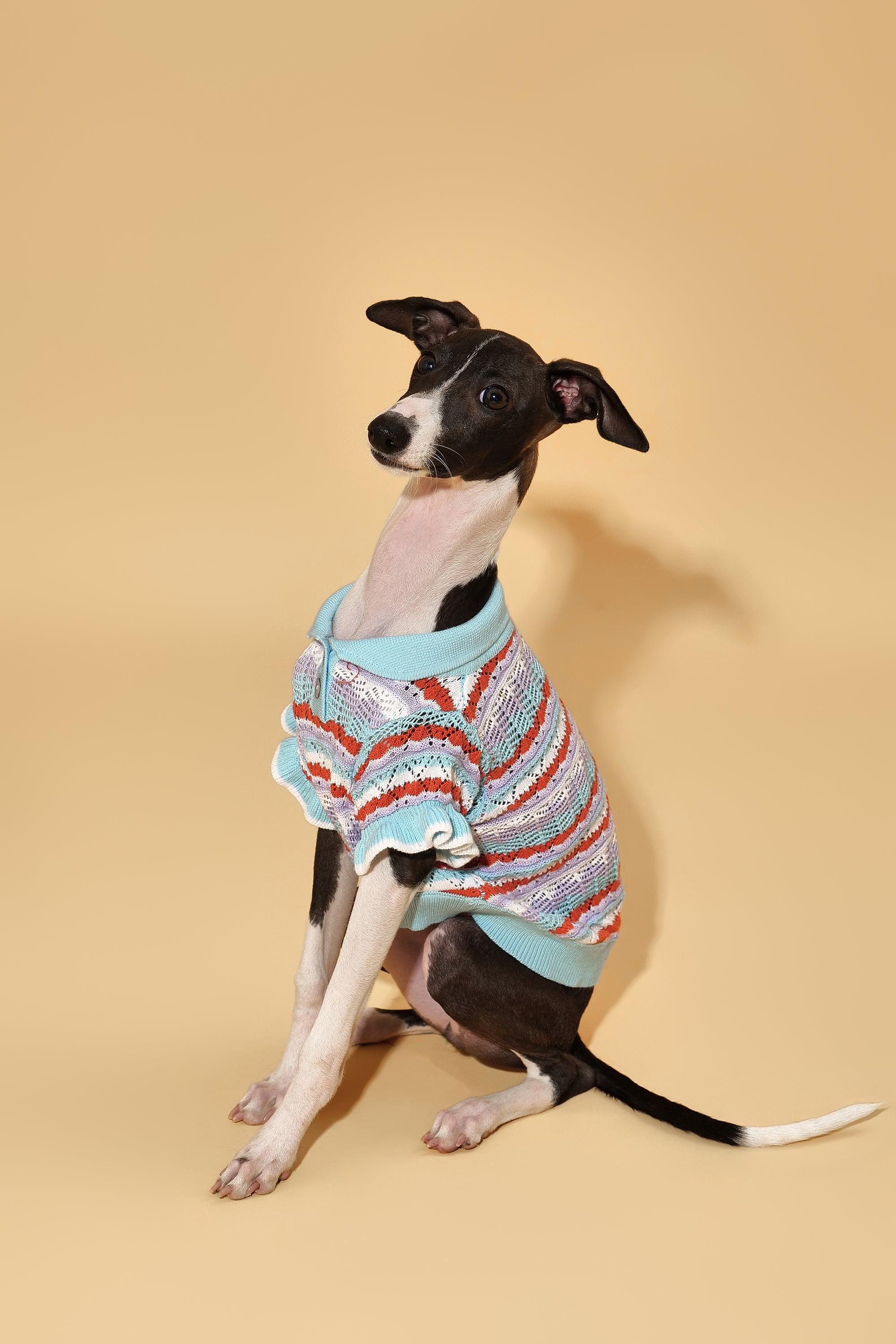 Pet & Me Spring Summer Ocean Blue Ruffle Crochet Short Sleeve Polo Shirt - Image 5