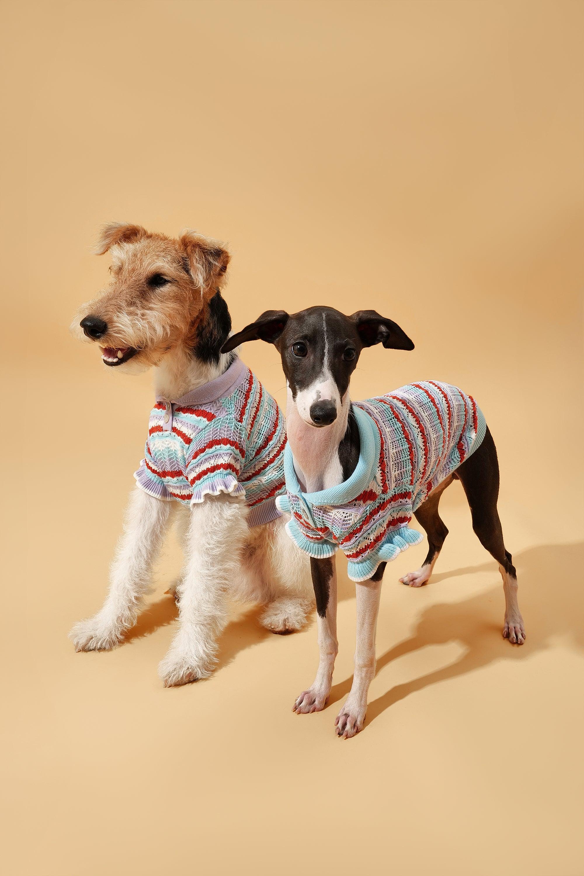 Pet & Me Spring Summer Ocean Blue Ruffle Crochet Short Sleeve Polo Shirt - Image 6