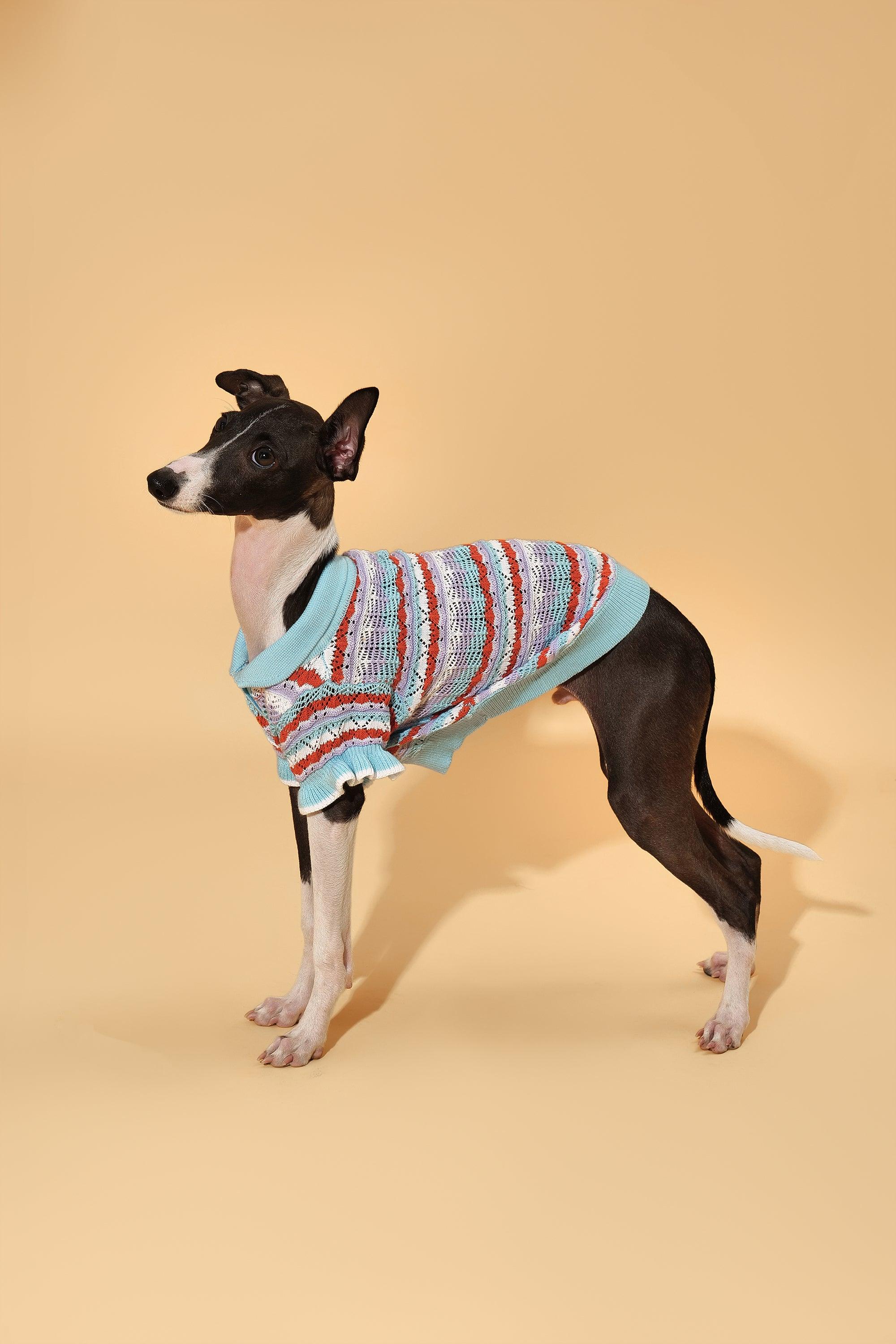 Pet & Me Spring Summer Ocean Blue Ruffle Crochet Short Sleeve Polo Shirt - Image 7