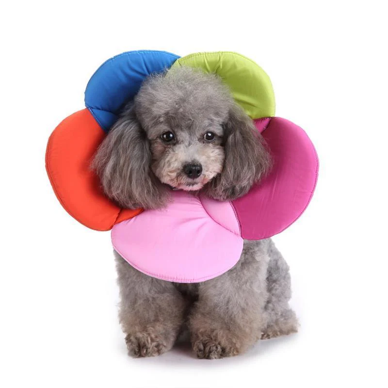 Pet Neck Protection Flower Collar - Image 2