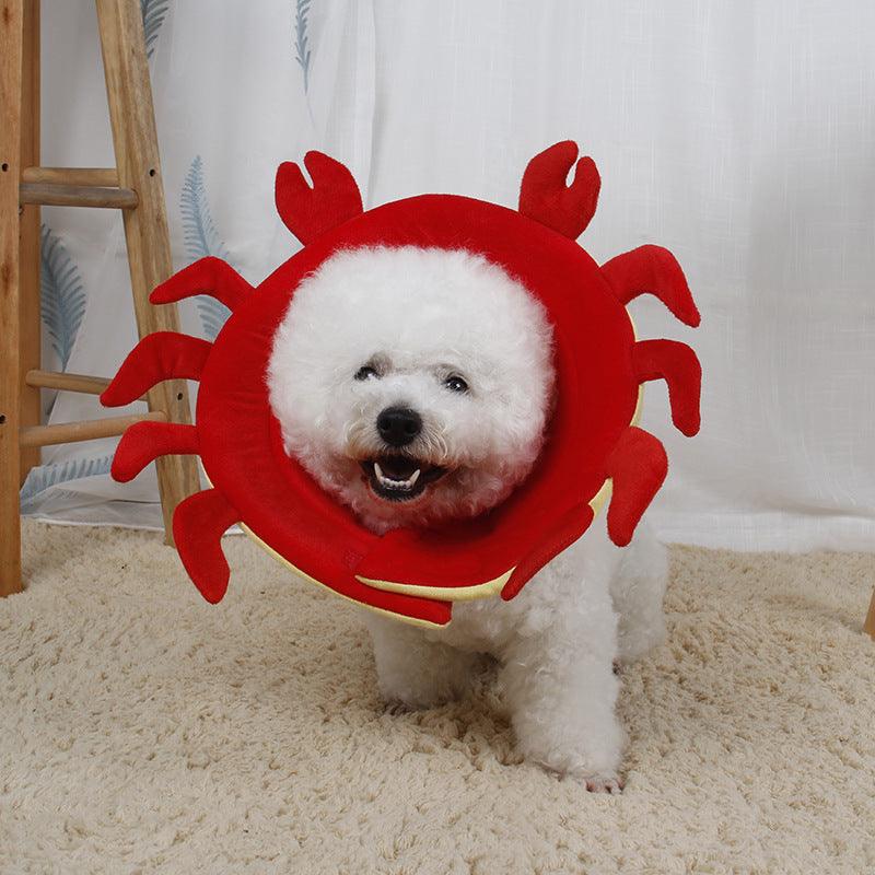 Pet Neck Protection Flower Collar - Image 3