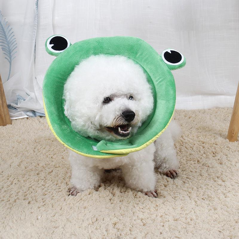 Pet Neck Protection Flower Collar - Image 4