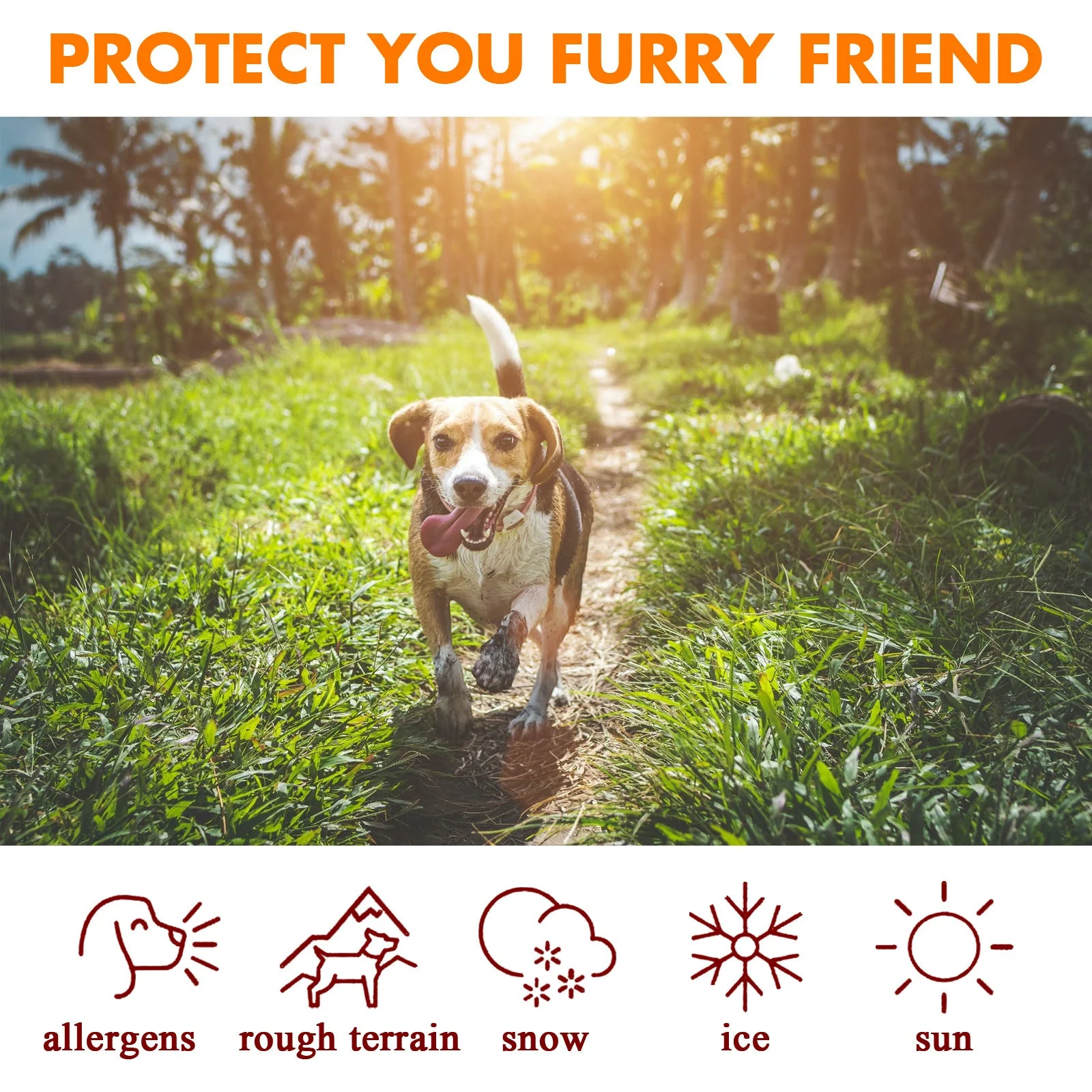 Pet Paw Care Protection Cream - Image 6