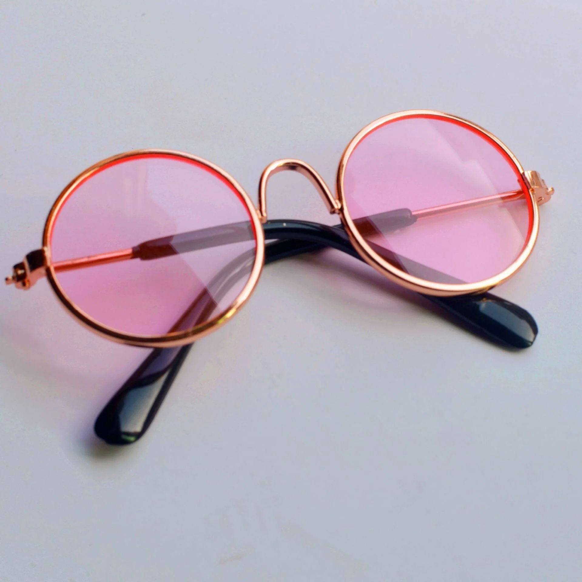 Pet Photoshoot Cute Glasses - Image 3