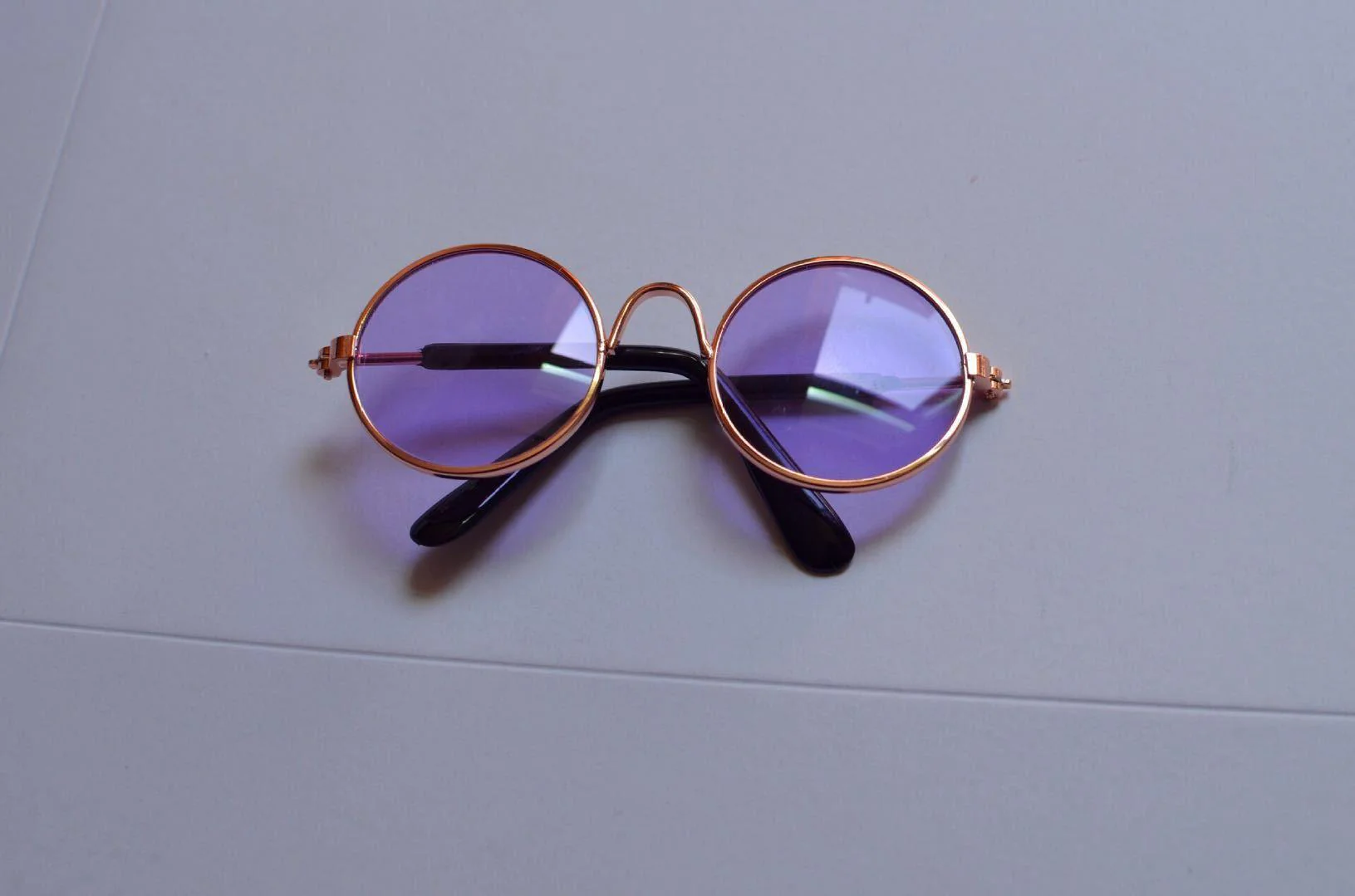 Pet Photoshoot Cute Glasses - Image 4