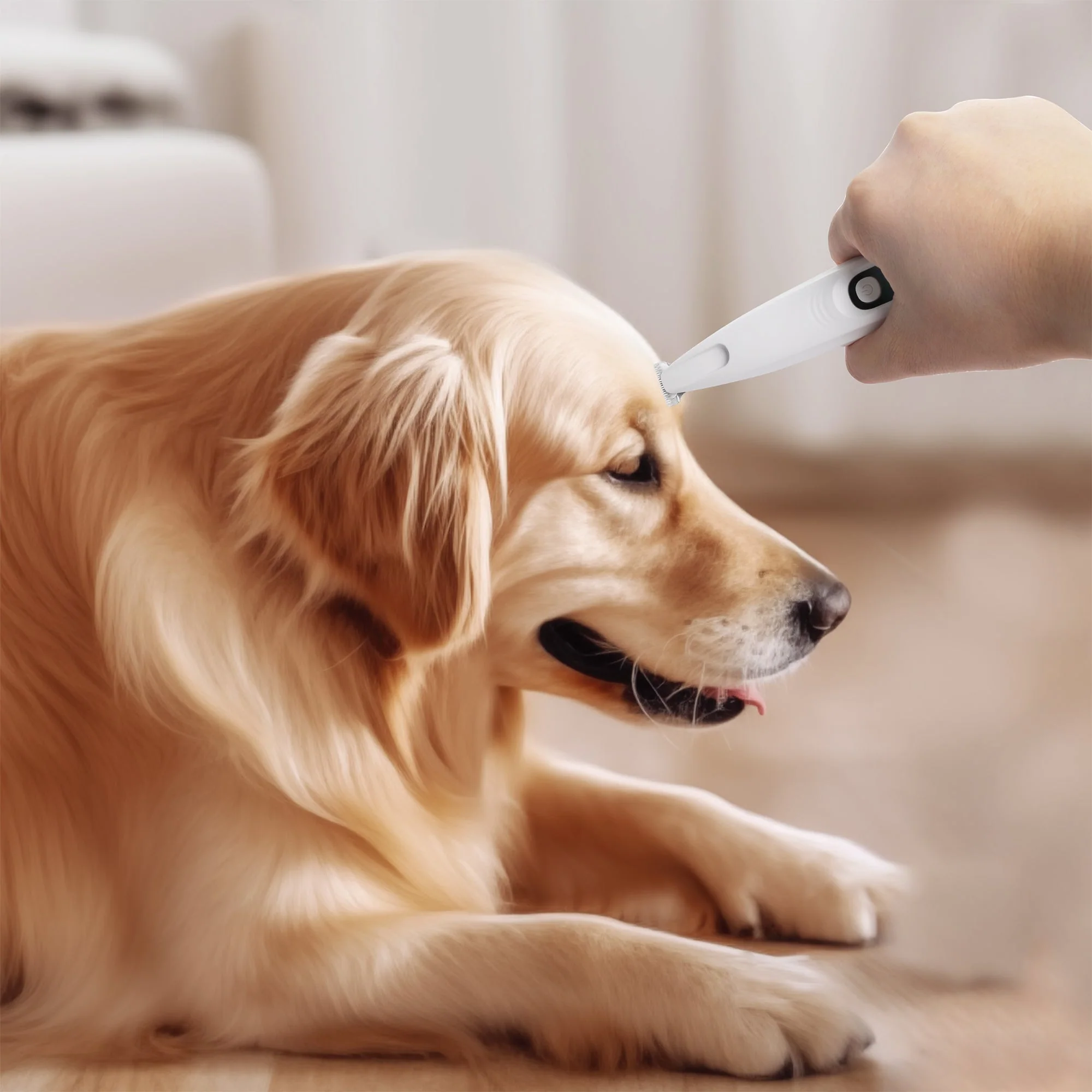 Pet Salon-Pet Hair Trimmer - Image 3