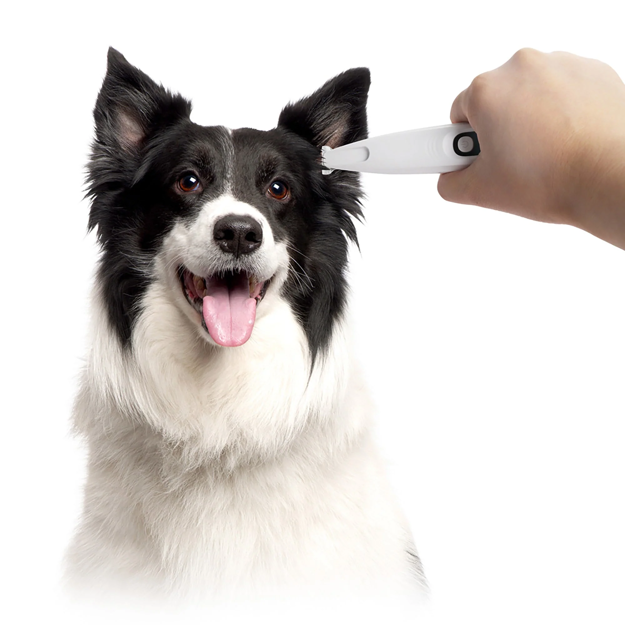 Pet Salon-Pet Hair Trimmer - Image 4